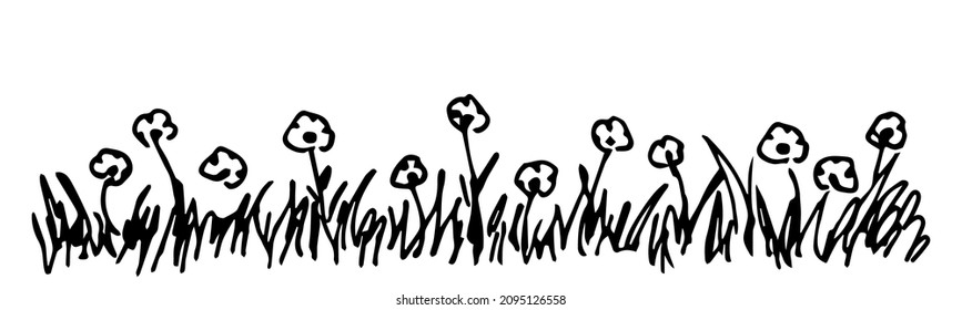 Simple hand-drawn vector drawing in black outline. Long floral banner, chamomile wildflowers, grass. Blooming meadow. Border for spring summer seasonal design. Ink sketch.