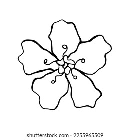 Dibujo simple de vector a mano en contorno negro. Flor de cerezo, flor de sakura aislada en fondo blanco. Para el diseño primaveral, cosméticos, decoración de productos.