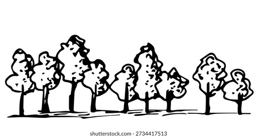 A simple hand-drawn vector drawing with a black outline. Deciduous trees, forest, grove. Nature and vegetation, plants. Sketch in ink.