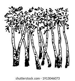 Simple hand-drawn vector drawing in engraving style. Black and white ink sketch. Forest, birch grove, trees. Nature, landscape. Wood products.