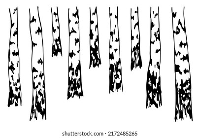 Simple hand-drawn vector drawing in engraving style. Black and white ink sketch. Forest, birch grove, trees. Nature, landscape. Wood products.