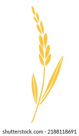 Sencillo dibujo vectorial a mano. Espigón dorada de trigo aislado en fondo blanco. Cereales, productos de harina.