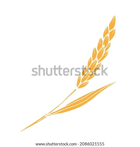 Simple hand-drawn vector drawing. Gold spikelet of wheat isolated on white background. Cereals, flour products. For printing, label, logo, shop, bakery.