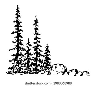 Simple hand-drawn vector ink sketch. Coniferous trees, spruces, stones, forest. Wildlife, landscape. For prints, postcards. Tourism and travel, camping.