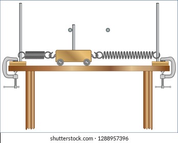 Simple Harmonic Motion
