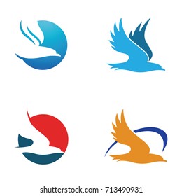 Simple Hawk Eagle Logo Symbol Template