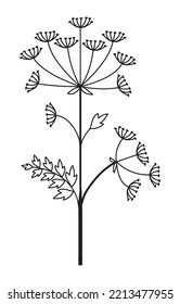 Simple hogweed flower vector illustration
