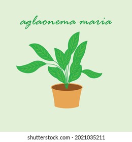 simple home garden decoration for anything 