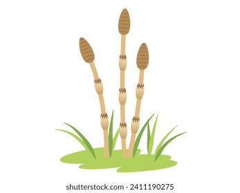 Simple horsetail vector illustration material