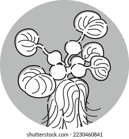Icono simple de hierba caliente (plantas acuáticas)