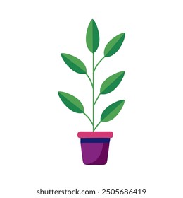 Simple house plant isolated on white background. Trendy home decor with plants, flat vector illusration