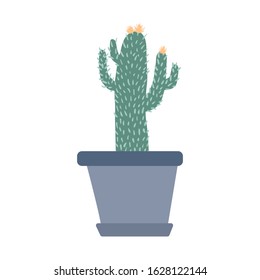 SImple houseplant in doodle style. Cute prickly green cactus in pots. Cacti flower isolated on white background. Hand drawn floral vector illustration.