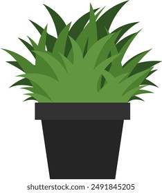 Simple Houseplant Illustration, Vector, Houseplant, Indoor Plant, Minimalist Plant, Vector Illustration