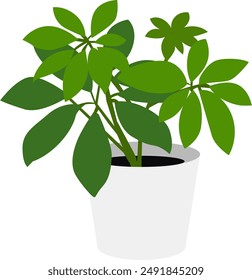 Simple Houseplant Illustration, Vector, Houseplant, Indoor Plant, Minimalist Plant, Vector Illustration