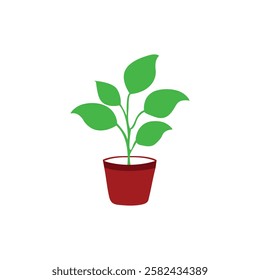 Simple Houseplant Vector Indoor Plant Digital Art