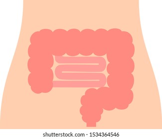 腸 イラスト の画像 写真素材 ベクター画像 Shutterstock