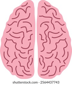 Simple Human Brain Top View Vector Illustration
