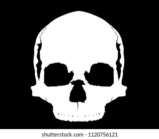 simple human skull without mandible in full-face white on a black background