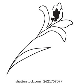 simple icon of a closed lily bud drawn with several lines in line art style, for logos and tattoos