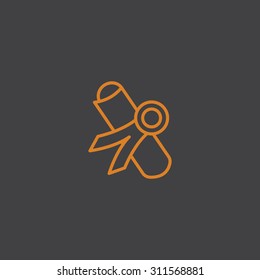 Simple icon diploma