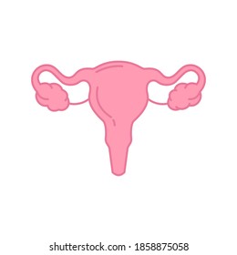 Simple icon of female genital organs, internal human organs. Female reproductive system. Vector illustration.
