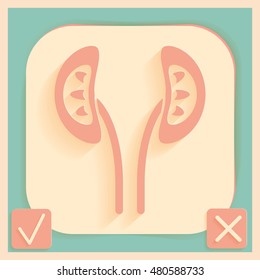 Simple icon of human kidneys. anatomical kidney vector icon.