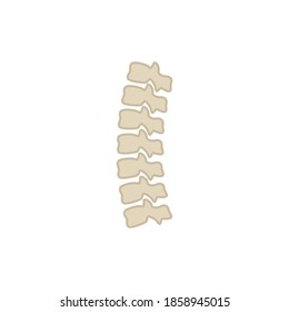 Simple icon of the human ridge. Human ridge vector illustration.