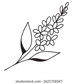 simple icon of a lilac branch drawn with several lines in line art style, for logos and tattoos