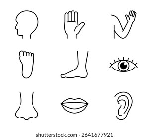 Simple icon set of various body parts Vector