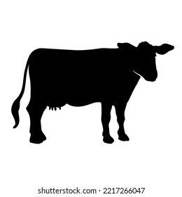 A simple icon of a young cow - heifer