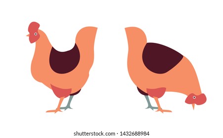 simple illustrated hens standing in different pose