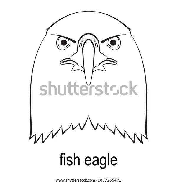 Simple Illustration African Fish Eagle Stock Vector (Royalty Free