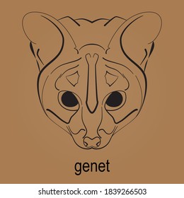 Simple illustration of an African genet on a brown background.