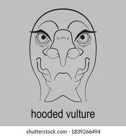 Simple illustration of an African hooded vulture with a light grey background.
