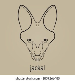 jackal art