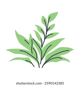 Simple illustration of beautiful green plant. Perfect for creating minimalist plant designs