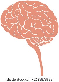 Simple illustration of a brain seen from the side