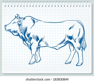 Simple illustration of bull