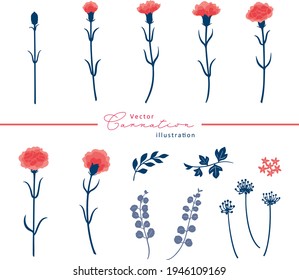 Simple illustration of carnation flowers