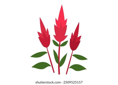 Einfache Illustration der Celosia-Blume