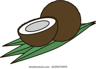 Simple illustration of coconut fruit