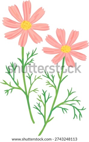 A simple illustration of cosmos