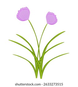 Simple illustration cute flowers pastel 