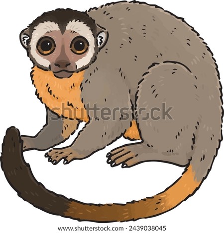 Simple illustration of cute Night Monkey