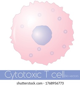 Simple Illustration Of Cytotoxic T Cell 