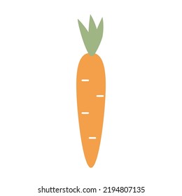 Simple illustration of flat-style carrots. vector illustration