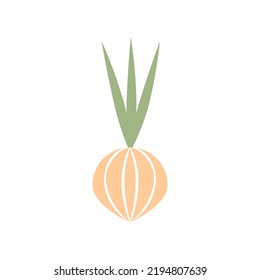 Simple illustration of a flat-style onion. vector illustration