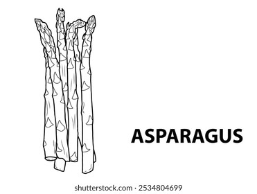 A simple illustration of fresh, green asparagus spears, standing tall with their textured tips, highlighting their vibrant color and natural elegance.