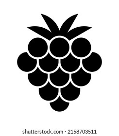 Simple illustration of fruit raspberry vector icon in  black color