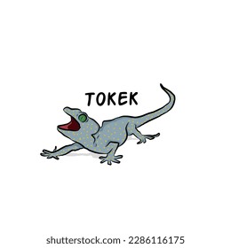 simple illustration of a gecko